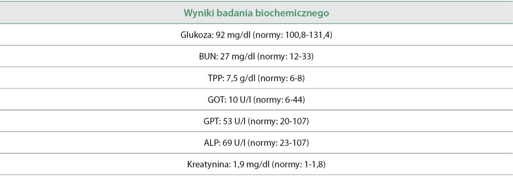 WWP_4_24_kazuistyka_Ewa_Nicpon_KAMICA_CYSTYNOWA_U_KOTA_TAB_2 kamica cystynowa