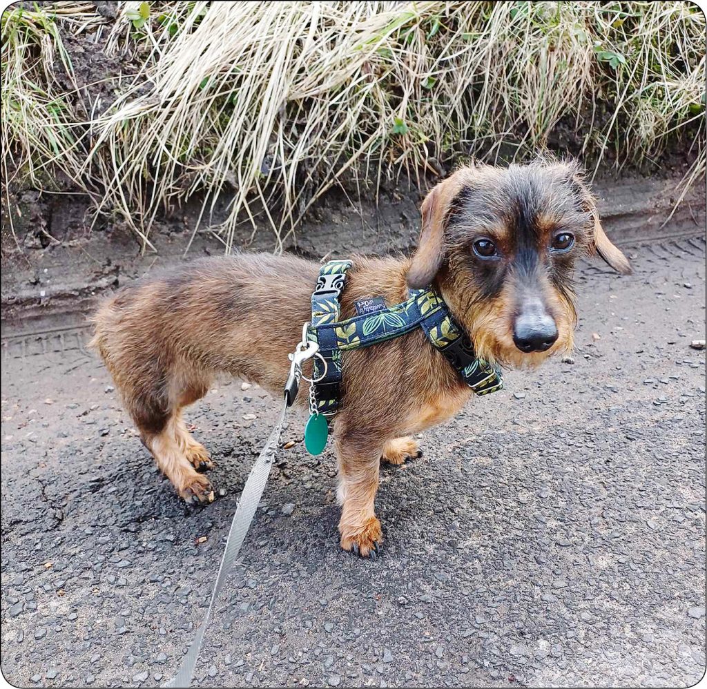 WWP_4_24_Magdalena_Plewa_NAUKA_CHODU_RDZENIOWEGO_RYC_7 nauka chodu