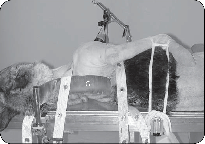 WWP_4_24_chirurgia_Gian_Luca_Rovesti_STUDIUM_BADAWCZE_NA_KADAWERACH_RYC_3 technika trakcji szkieletowej