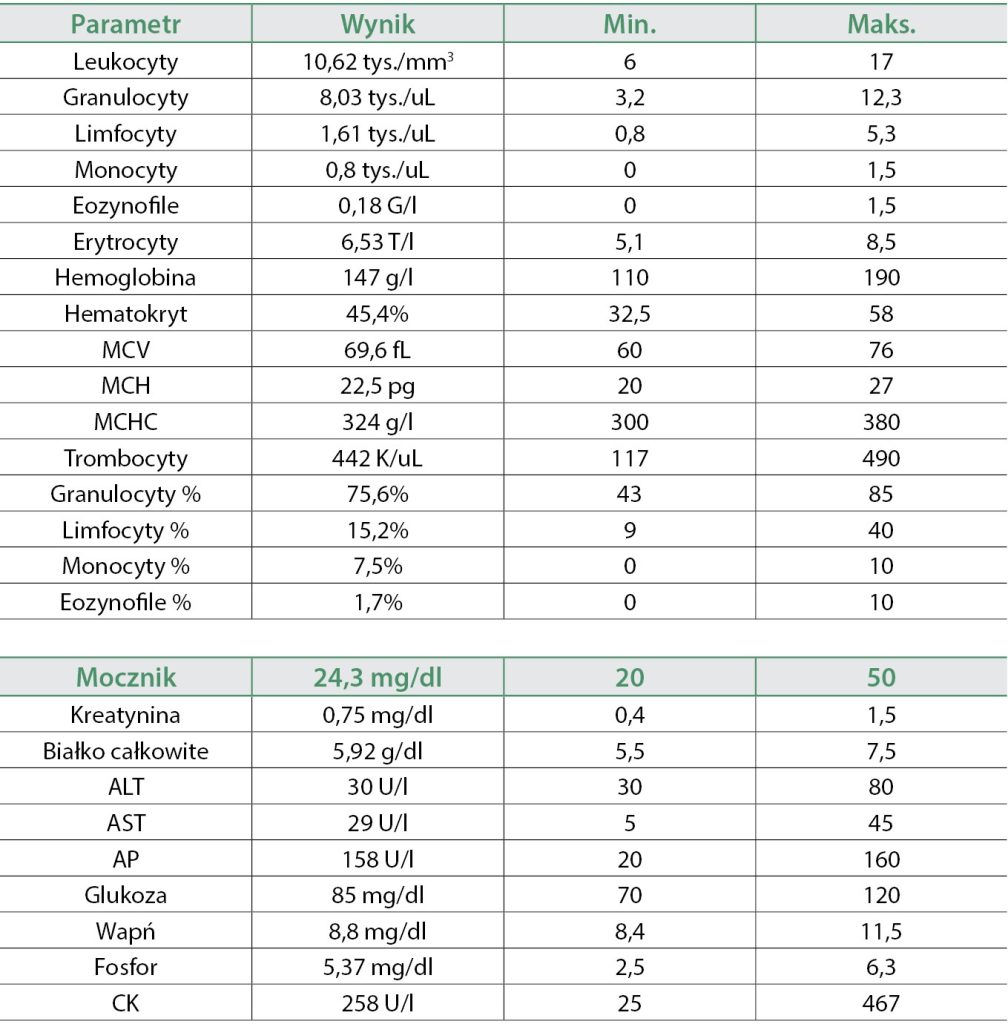 WWP_4_24_Jaroslaw_Salek_ZAPALENIE_KOSCI_I_SZPIKU_U_SZCZENIAKA_TAB_1