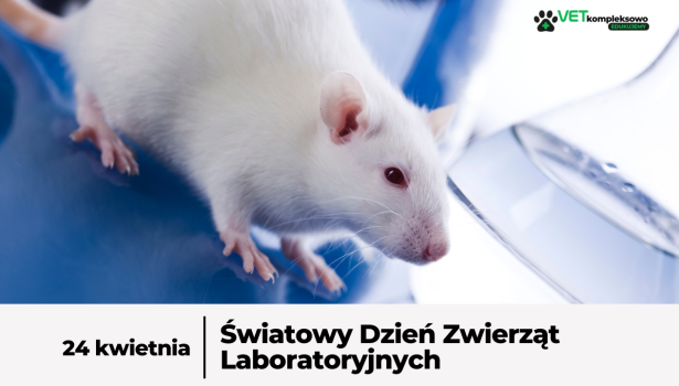 24 kwietnia - Światowy Dzień Zwierząt Laboratoryjnych