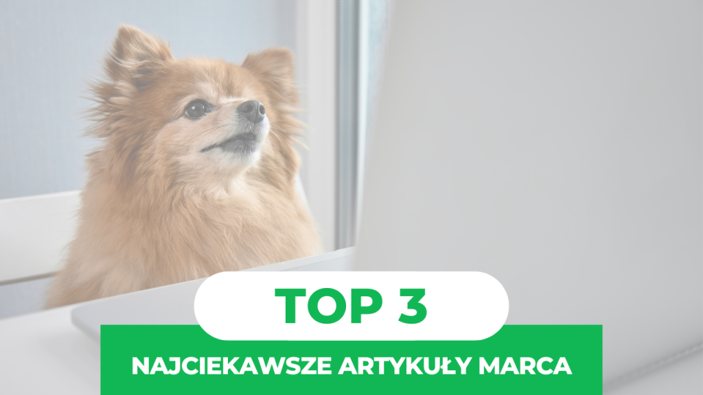 TOP 3 najchętniej czytane artykuły w marcu