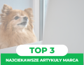 TOP 3 najchętniej czytane artykuły w marcu