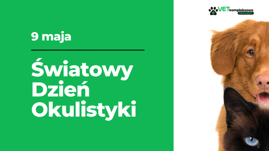 9 maja - Światowy Dzień Okulistyki