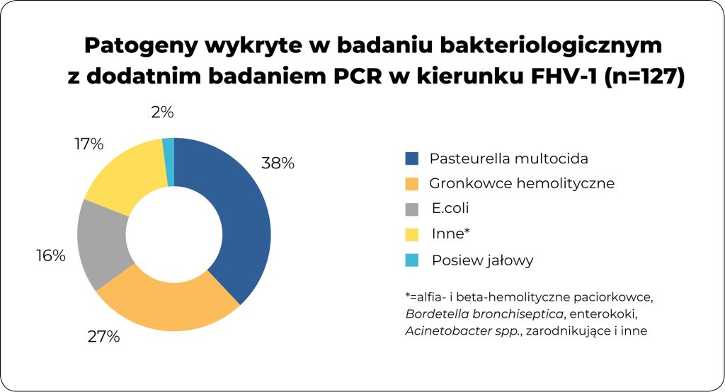 WWP_5_24_Eva-Maria_Klas_BADANIE_PCR_BADANIE_BAKTERIOLOGICZNE_RYC_3 infekcje