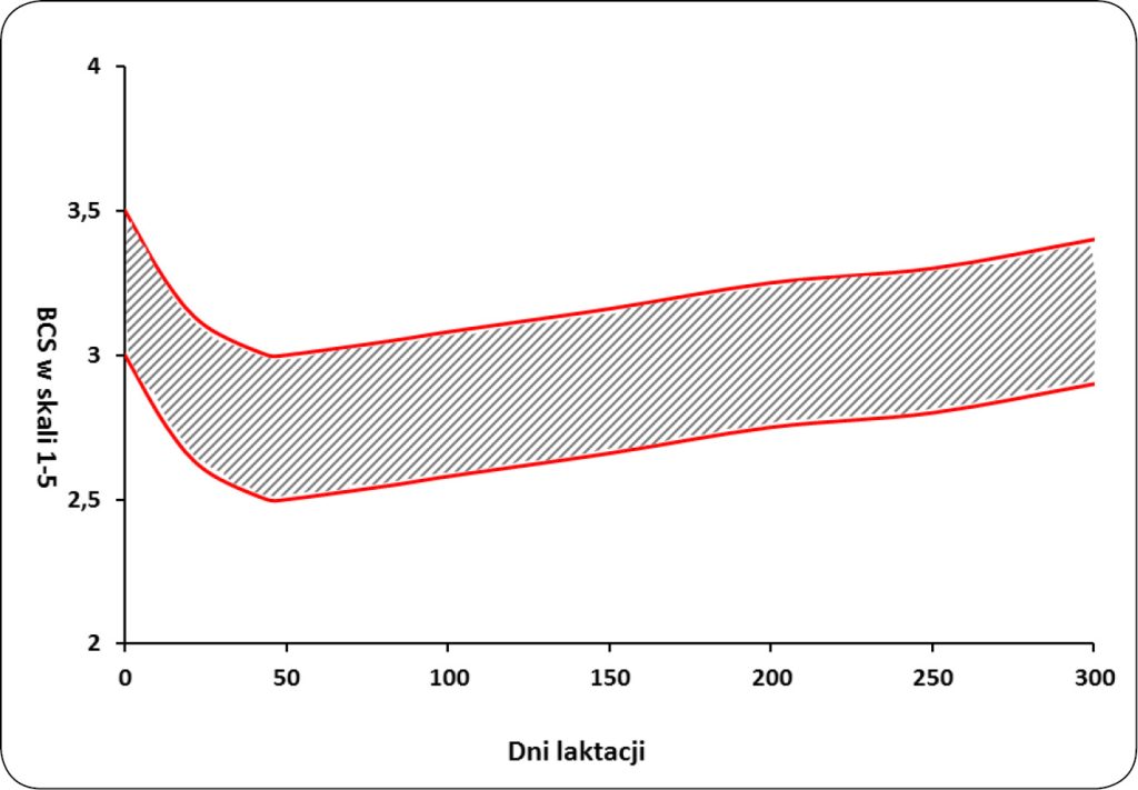 WWT_2_24_Paulina_Jawor_OCENA_KONDYCJI_KROW_WAZNA_DLA_LEKARZA_RYC_2