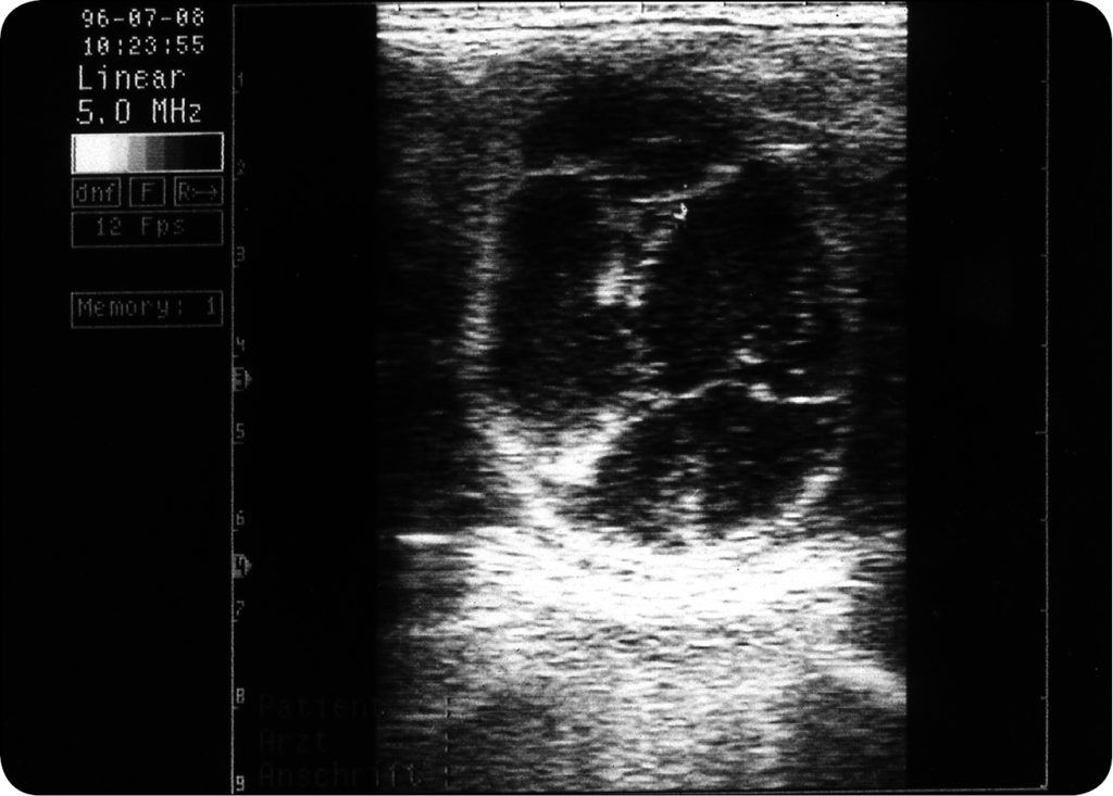 WWT_2_24_Andrzej_Ras_PRZEBIEG_OKRESU_OKOLORUJOWEGO_RYC_5