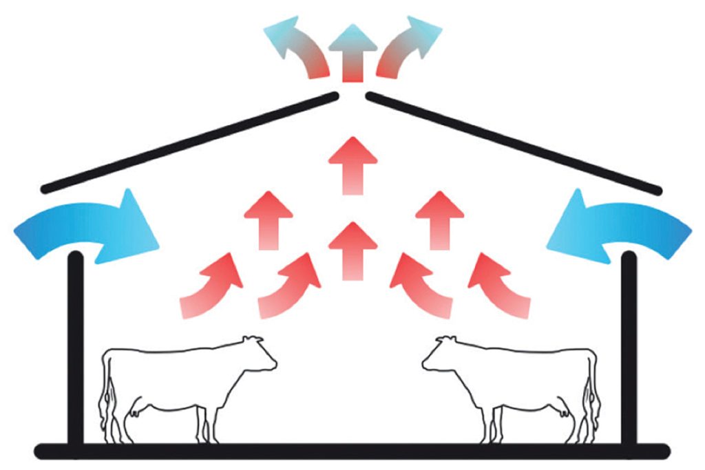 WWT_2_24_bydlo_cevolution_SYNDROM_ODDECHOWY_BYDLA_RYC_3