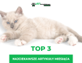 TOP 3 najchętniej czytane artykuły weterynaryjne w kwietniu