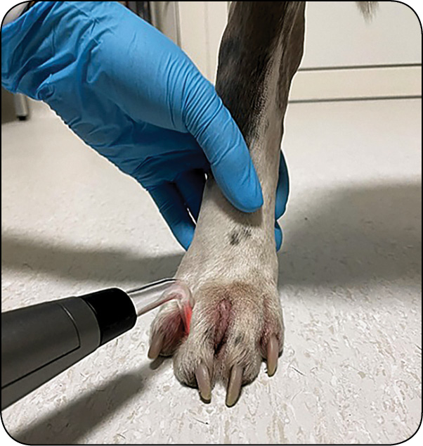 ENDO-DERMA_24_Jagoda_Ciszewska-CeranNOWE_METODY_LECZENIA_CHOROB_SKORY_RYC_3