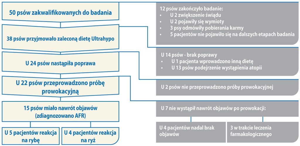 WWP_6_24_Irina_Matricoti_DIAGNOSTYKA_NIEPOZADANYCH_REAKCJI_NA_POKRAM_U_PSOW_SCHEM_2 badanie