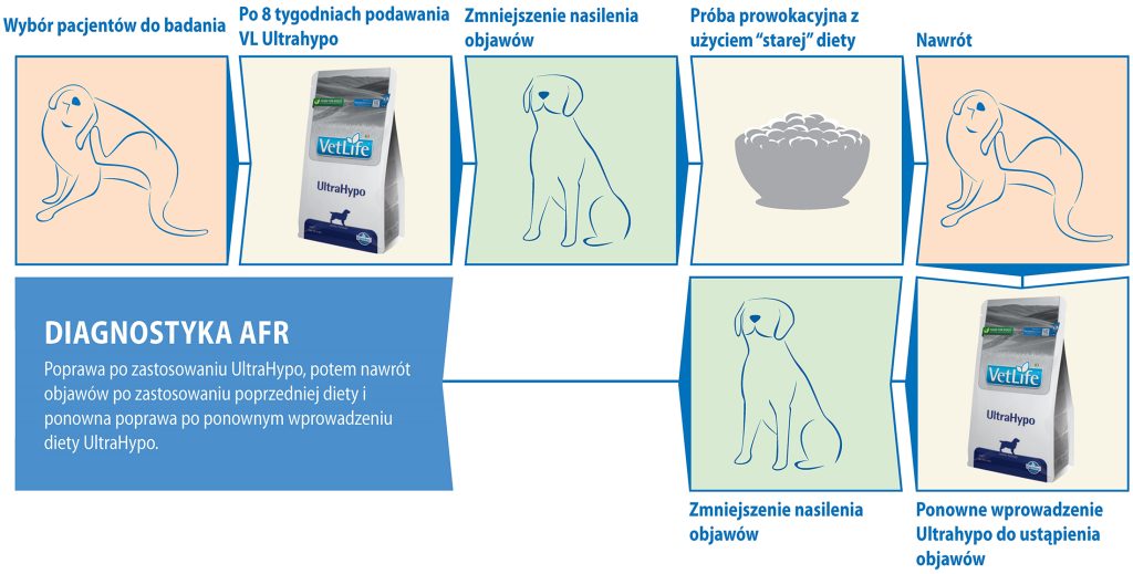 WWP_6_24_Irina_Matricoti_DIAGNOSTYKA_NIEPOZADANYCH_REAKCJI_NA_POKRAM_U_PSOW_SCHEM_1