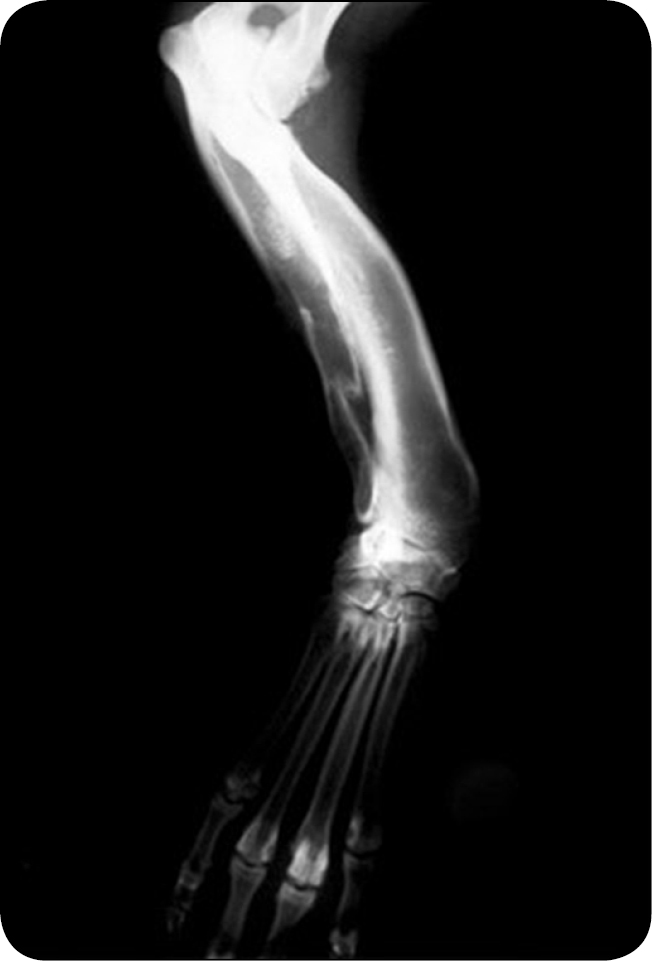 WWP_6_24_Gian_Luca_Rovesti_LECZENIE_DEFORMACJI_STABILIZTORY_KOLOWE_RYC_2_B