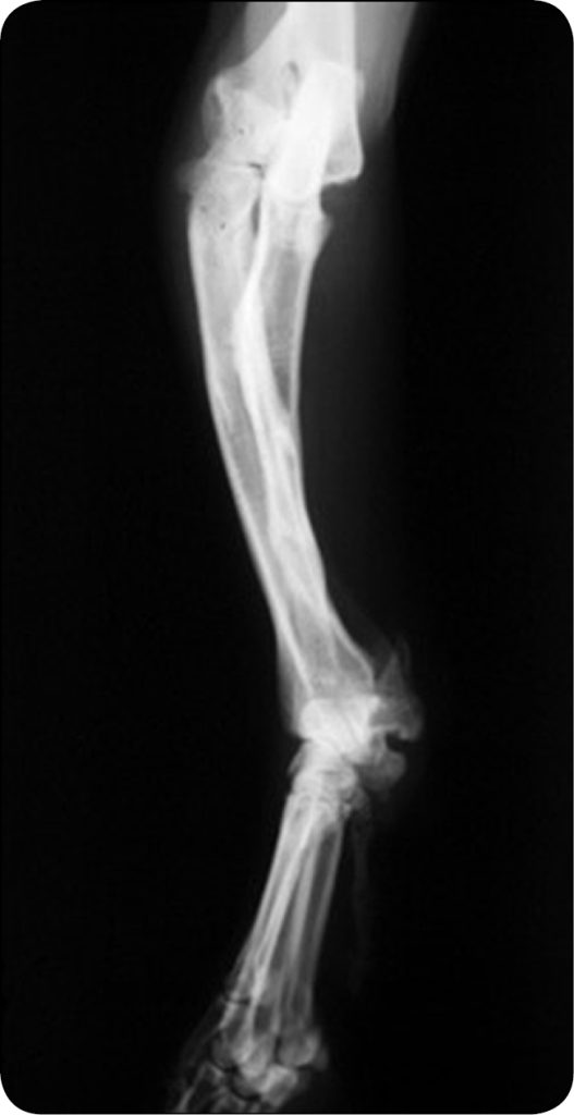 WWP_6_24_Gian_Luca_Rovesti_LECZENIE_DEFORMACJI_STABILIZTORY_KOLOWE_RYC_3_B