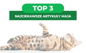 TOP 3 najchętniej czytane artykuły weterynaryjne w maju