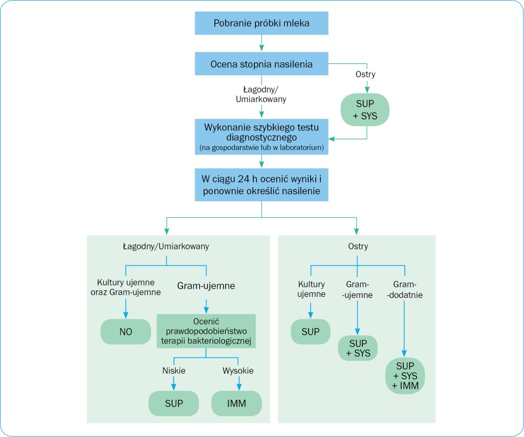 WWT_3_24_e-krowa_Michal_Hadzlik_TERAPIA_SELEKTYWNA_MASTITIS_W_LAKTACJI_RYC_1