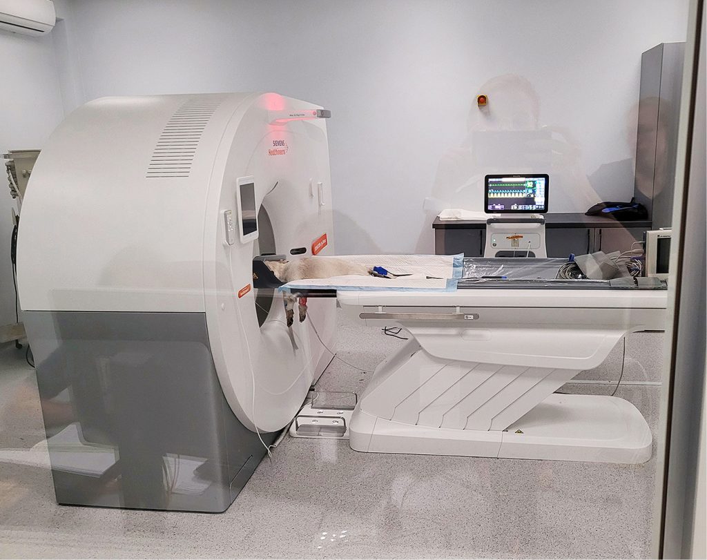 VET_CHIRURGIA_24_Angelika_Tobolska_ANASTEZJA_I_MONITORING_PODCZAS_BADAN_TK_I_MRI_RYC_4 metody