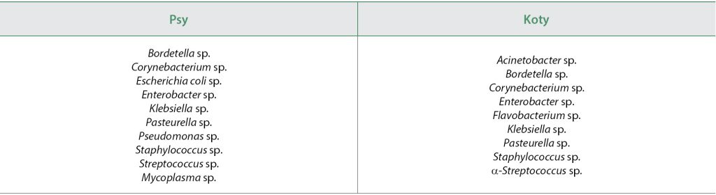 WWP_9_24_Agnieszka_Sikorska-Kopylowicz_KASZEL_OBJAW_Z_UKLADU_ODDECHOWEGO_TAB_5 