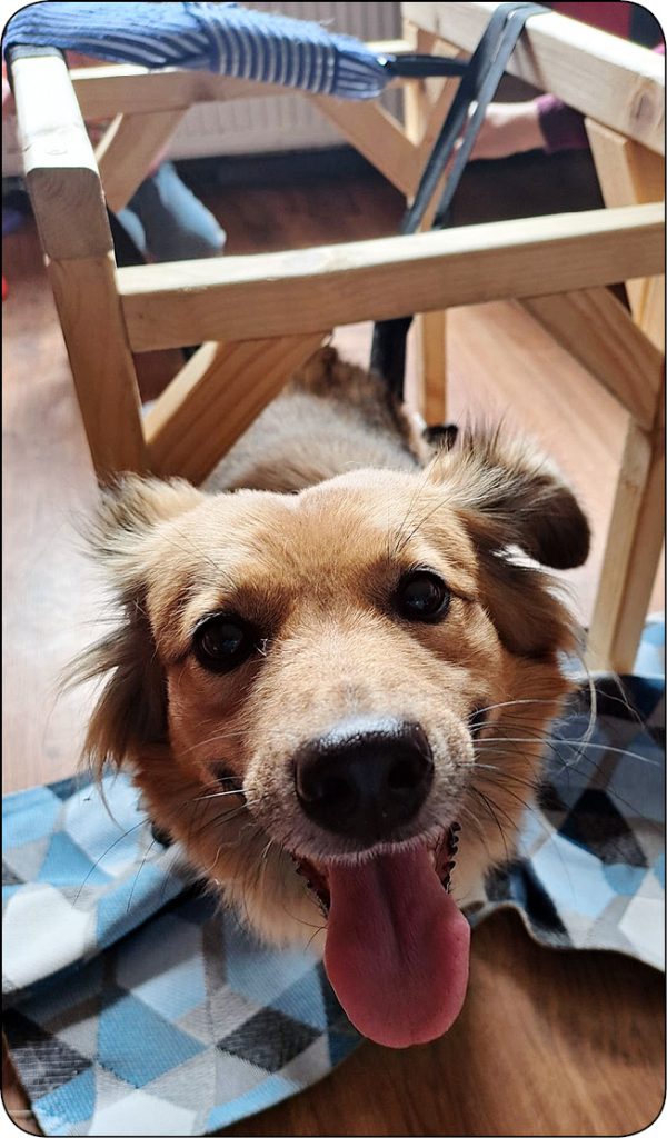 WWP_10_24_Magdalena_Plewa_REHABILITACJA_PACJENTA_PO_PRZEBYTEJ_NOSOWCE_RYC_3 nosówki