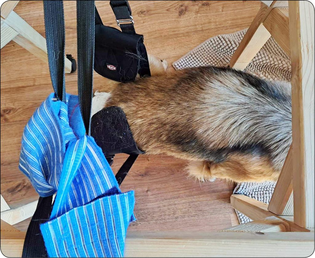 WWP_10_24_Magdalena_Plewa_REHABILITACJA_PACJENTA_PO_PRZEBYTEJ_NOSOWCE_RYC_4 nosówki