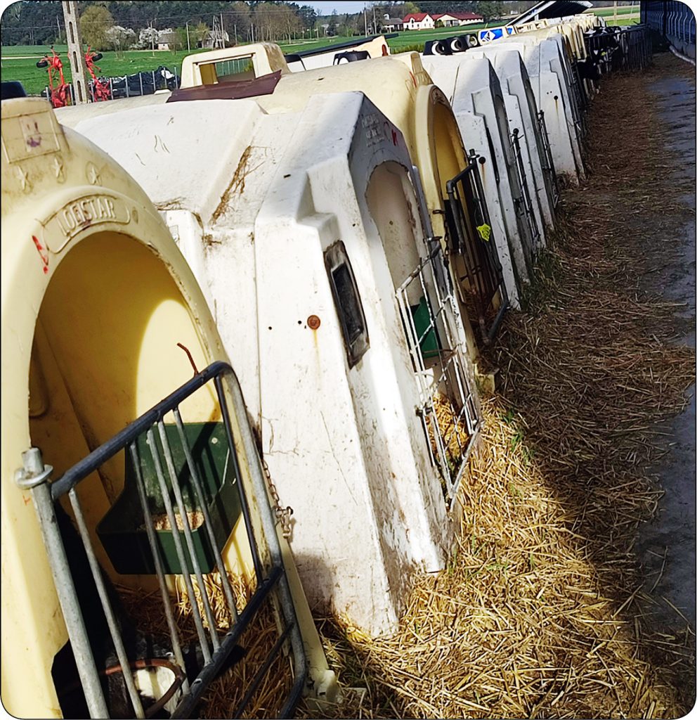 WWP_4_24_bydlo_Malgorzata_Dziekiewicz-Mrugasiewicz_BIEGUNKI_U_CIELAT_RYC_5 biegunki