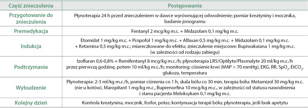WWP_1-2_25_anestezjologia_Anna_Goc_PACJENT_NEFROLOGICZNY_A_ZNIECZULENIE_TAB_2 znieczulenia
