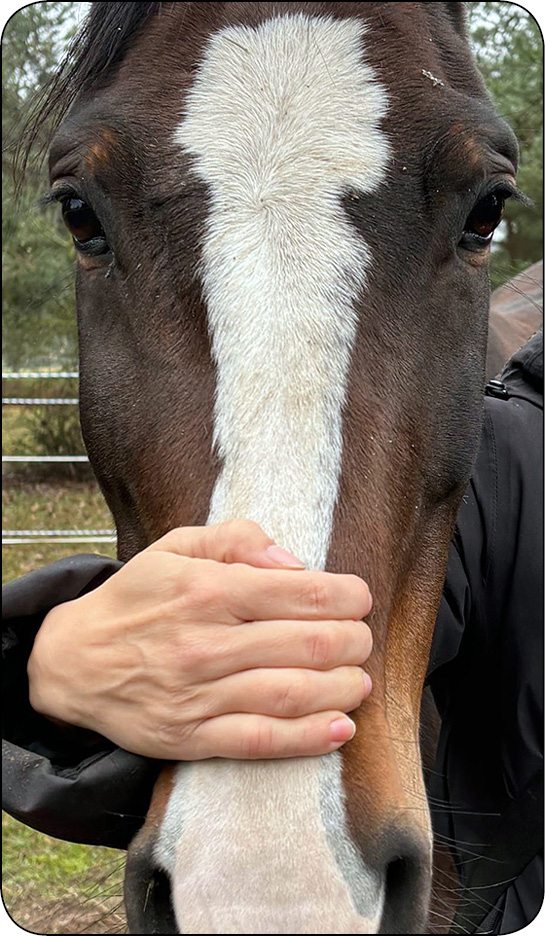 WWT_1_25_temat_sezonu_Katarzyna_Ferenz_ZLAMANIE_ZEBOW_U_KONI_RYC_14