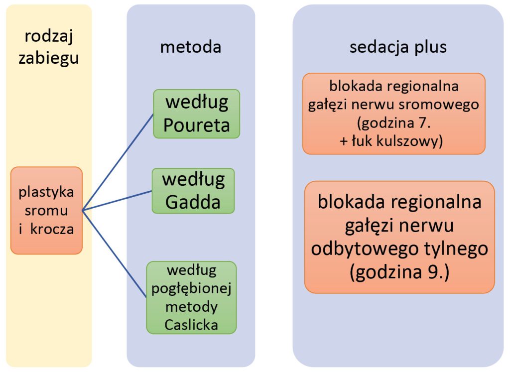 ROZROD_KONI_25_Katarzyna_Siewruk_CHIRURGIA_REKONSTRUKCYJNA_PLASTYCZNA_O_ROZNYM_STOPNIU_INWAZYJNOSCI_RYC_14