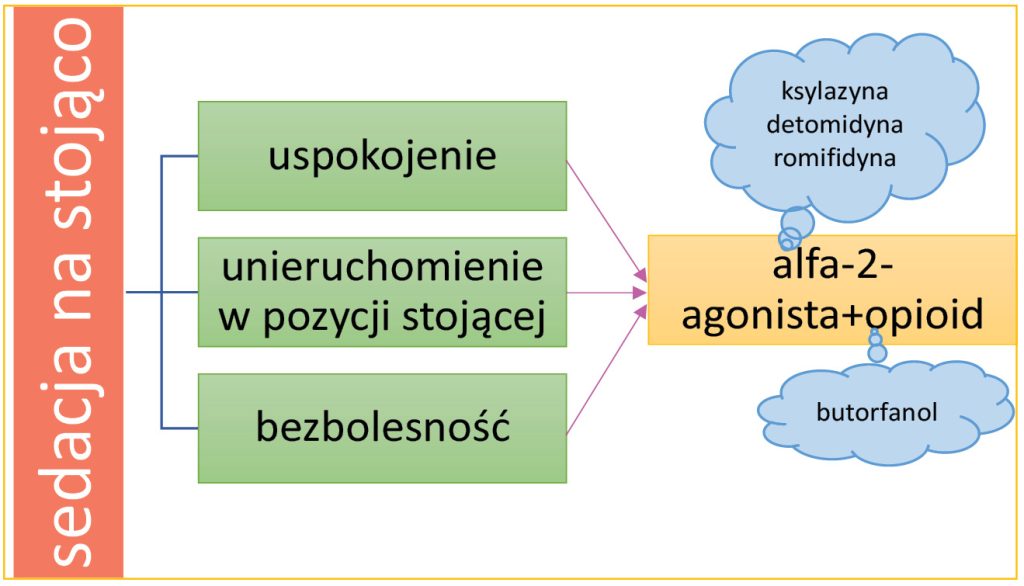 Ryc. 3. Zalety sedacji na stojąco; ryc. archiwum autorów
