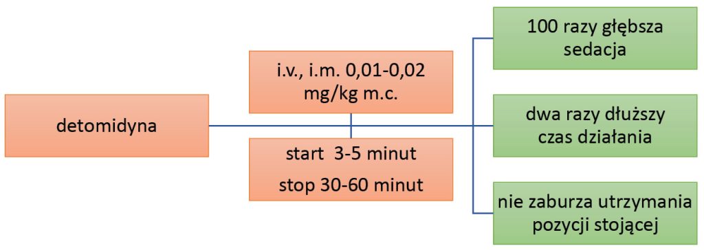Ryc. 6. Dawkowanie i działanie detomidyny; ryc. archiwum autorów