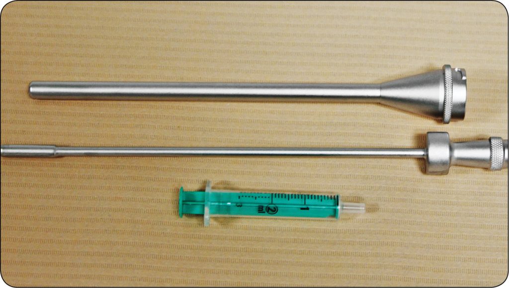 WWP_3_25_rozrod_Natalia_Sowinska_MIKROBIOTA_UKLADU_ROZRODCZEGO_SUK_RYC_2