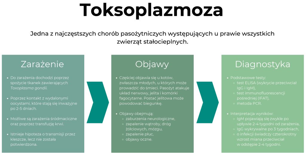 WWP_3_25_choroby_zakazne_Adrianna_Iwan_CHOROBY_PASOZYTNICZE_KOTOW_ALG_1 pasożytniczych