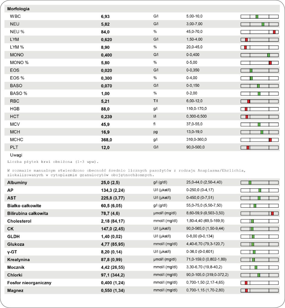 CHOROBY_KONI_25_Marzena_Paszkowska_CHOROBY_ODKLESZCZOWE_DIAGNOSTYKA_RYC_3