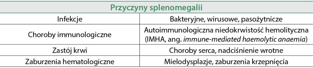 WWP_4_25_choroby_wewnetrzne_Agnieszka_Sikorska-Kopylowicz_CHOROBY_SLEDZIONY_U_PSOW_I_KOTOW_TAB_1 śledziony
