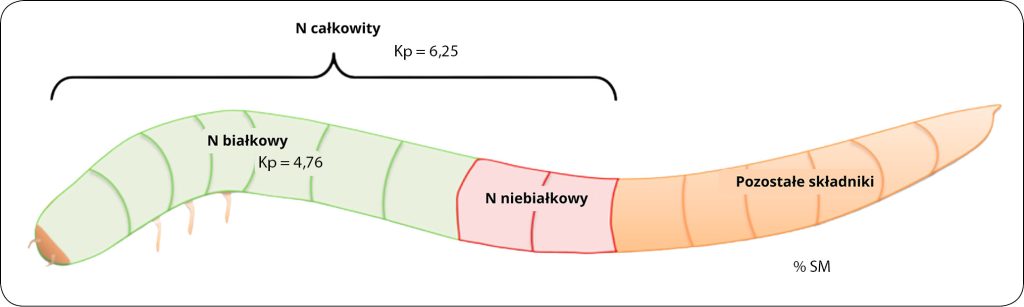 WWP_4_25_zywienie_Wioletta_Biel_OWADY_JADALNE_ALTERNATYWA_PROZDROWOTNA_I_EKOLOGICZNA_RYC_1