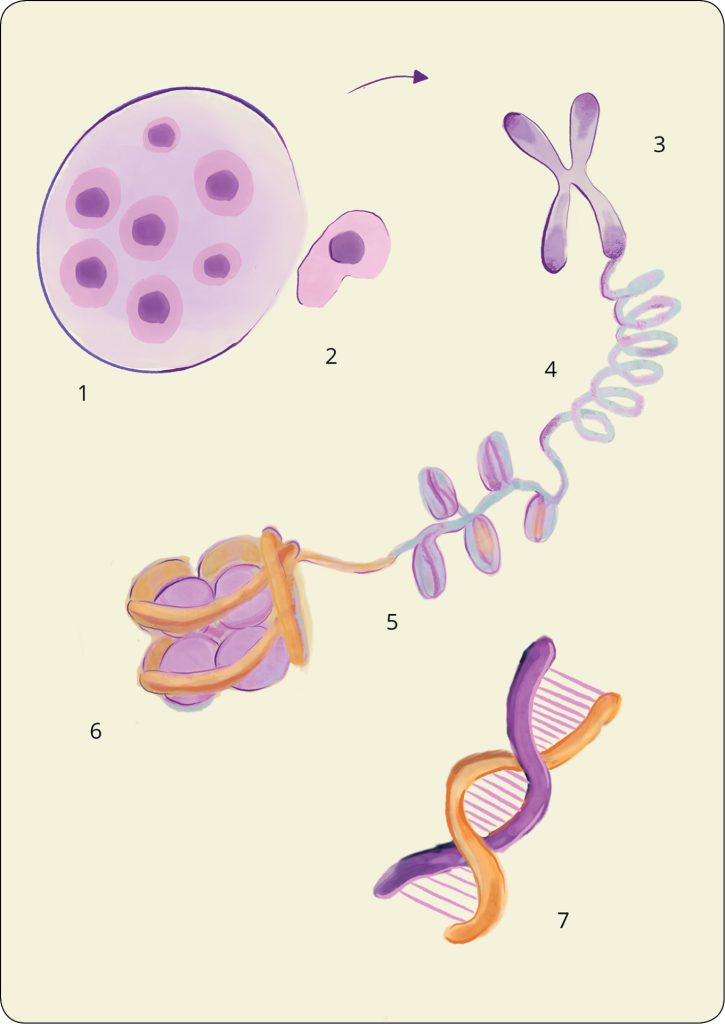 WWP_5_25_onkologia_Joanna_Bubak_PLYNNA_BIOPSJA_W_DIAGNOSTYCE_NOWOTWOROWEJ_PSOW_RYC_1 płynnej biopsji