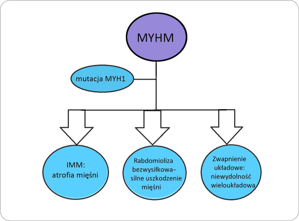 CHOROBY_KONI_25_Justyna_Domagala_MYOSIN_HEAVY_CHAIN_MYOPATHY_MYHM_RYC_1