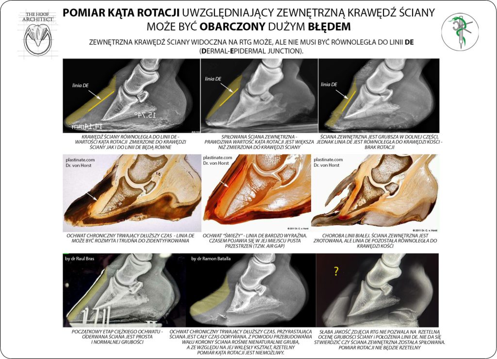 WWT_2_25_konie_Magdalena_Senderska-Plonowska_LECZENIE_OCHWATU_DIAGNOSTYKA_RADIOLOGICZNA_ORAZ_WENOGRAFIA_RYC_4