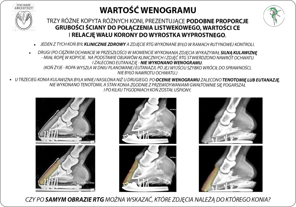 WWT_2_25_konie_Magdalena_Senderska-Plonowska_LECZENIE_OCHWATU_DIAGNOSTYKA_RADIOLOGICZNA_ORAZ_WENOGRAFIA_RYC_7