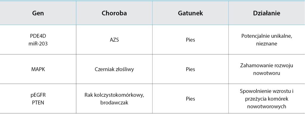ENDO-DERMA_25_Grzegorz_Kalisz_FARMAKOGENOMIKA_LECZENIE_CHOROB_DERMATOLOGICZNO-ENDOKRYNOLOGICZNYCH_TAB_2 Farmakogenomika