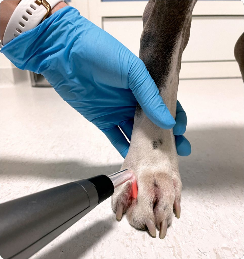 ENDO-DERMA_25_Jagoda_Ciszewska-Ceran_ZIMNA_PLAZMA_W_LECZENIU_ZAPALEN_PRZEWODU_SLUCHOWEGO_RYC_1 zimnej plazmy