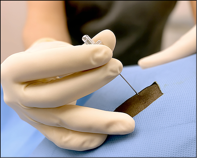 VET_CHIRURGIA_25_Kamil_Kowalczyk_ZNIECZULENIE_ZABIEGI_OBREB_STAWU_KOLANOWEGO_RYC_1