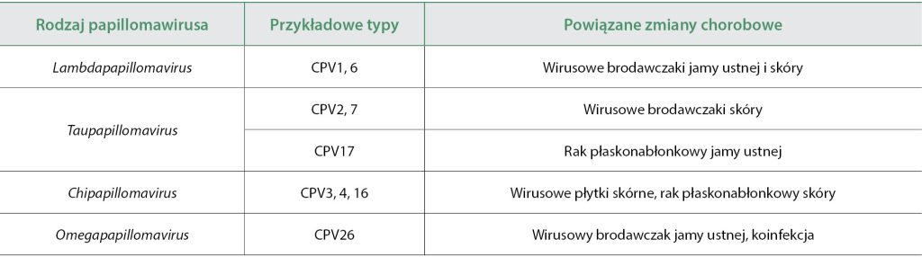 WWP_9_25_choroby_zakazne-stomatologia_Agnieszka_Lachowicz-Wolak_BRODAWCZYCA_JAMY_USTNEJ_TAB_1