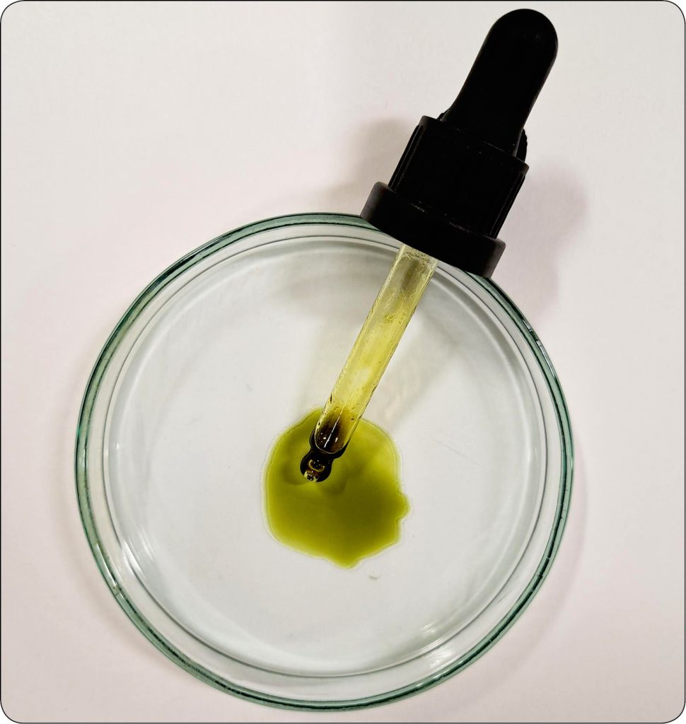 WWP_9_25_zywienie_Wioletta_Biel_PRODUKTY_KONOPNE_W_DIECIE_PSOW_RYC_2 konopne