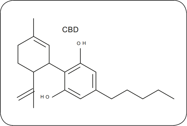 WWP_9_25_zywienie_Wioletta_Biel_PRODUKTY_KONOPNE_W_DIECIE_PSOW_RYC_3 konopne