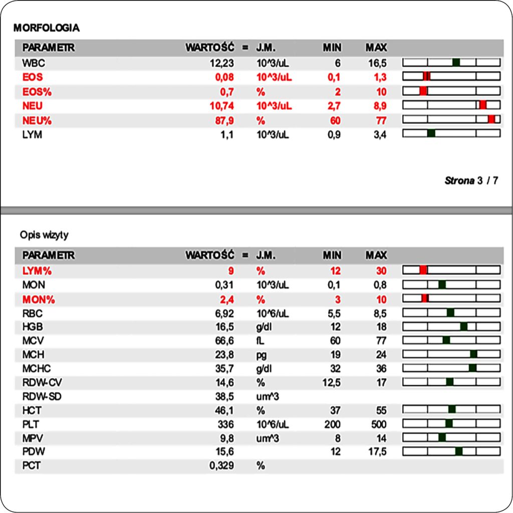 WWP_10_25_onkologia_Paulina_Szczepaniak_PIES_RAK_Z_KOMOREK_NABLONKA_PRZEJSCIOWEGO_DROG_MOCZOWYCH_RYC_1
