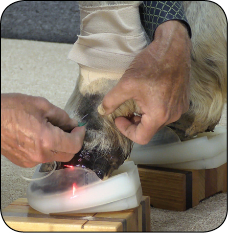 WWT_4_25_konie_Magdalena_Senderska-Plonowska_TECHNIKA_WYKONANIA_WENOGRAFII_RYC_7_A