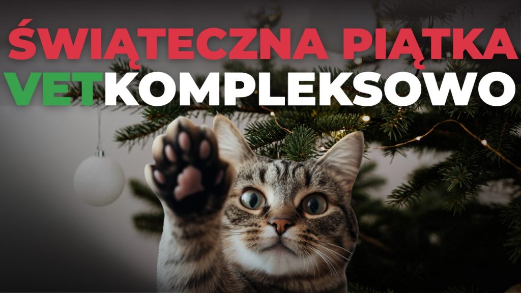 Świąteczna piątka od VETkompleksowo – ortopedia