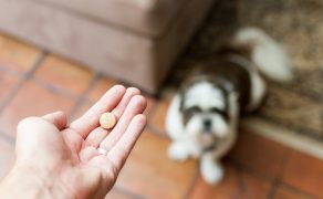 produktów leczniczych