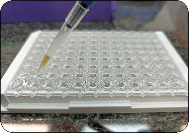 WWP_1-2_26_diagnostyka_laboratoryjna_Anna_Burek_TESTY_IMMUNOENZYMATYCZNE_W_DIAGNOSTYCE_RYC_3